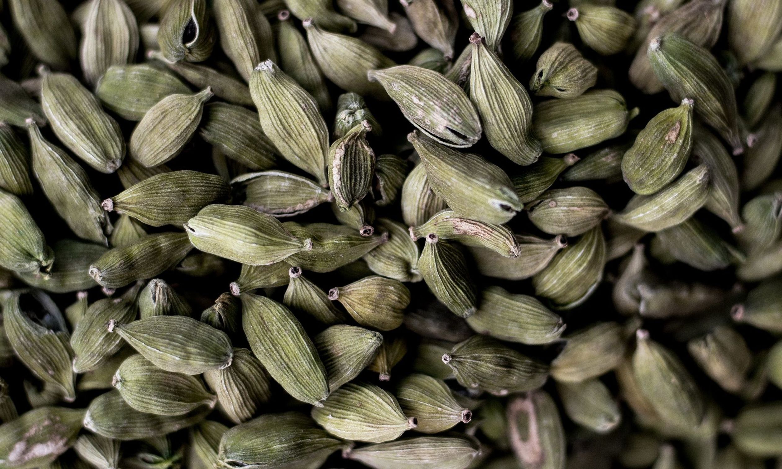Cardamom.jpg