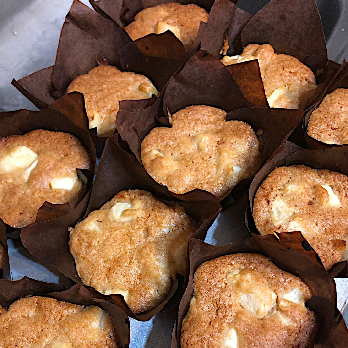 Spiced Apple Apricot Muffins.jpg